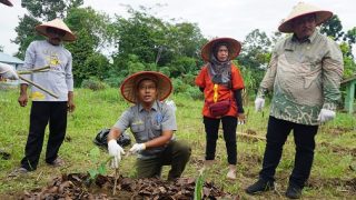 P3M STISIPOL Beri Edukasi tentang Agroforestri kepada Petani Toapaya