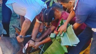 Wali Kota Tanjungpinang Menyembelih Langsung Sapi Hewan Kurban Bantuan Presiden