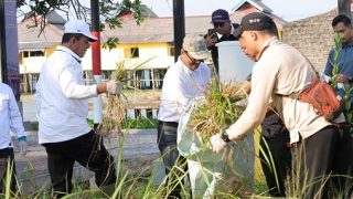Pulau Penyengat Jadi Lokasi Gerakan Wisata Bersih Nasional, Gubernur Kepri Turun Tangan