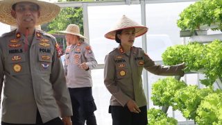 Lagi, Polres Bintan Panen Sayur dari Media Hidroponik