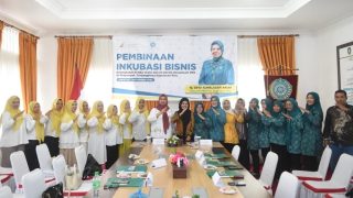 TP-PKK Kepri Menggandeng AEC untuk Mendorong UMKM Deram-deram Penyengat Naik Level