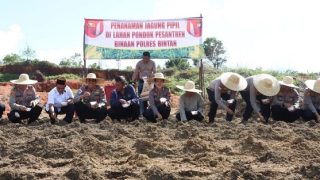 Polisi Bintan Ramai-ramai Tanam Jagung di Pondok Pesantren Syaikh Zainuddin Nadhatul Whatan