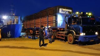 Japfa Group Ekspor 28.500 Ayam ke Singapura, Acai: Kita Tetap Mengutamakan Kebutuhan Lokal