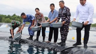 Lanal Bintan Buka Budi Daya Udang Vaname di Tambak Berteknologi Canggih, Target Panen 4,2 Ton