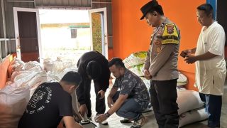 Hasil Panen Jagung Pipil Kelompok Tani Milenial Kreatif Dibeli Bulog Seharga Rp 6.400 Per Kilogram