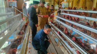 Bupati Karimun Dukung Pengembangan Ayam Petelur Bumdes Pongkar Jaya