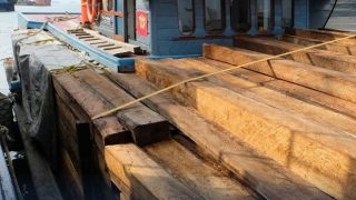 Bea Cukai Batam Mengamankan 1.250 Balok Kayu Ilegal dari Tanjung Samak Riau