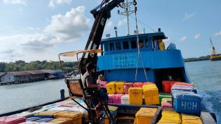 Fenomena Ekspor Ikan dari Kepri Saat Musim Angin Utara, Singapura Hanya Menurunkan Harga Tenggiri