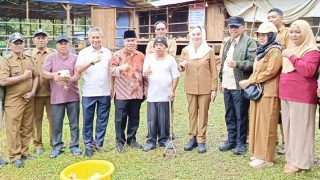 Berbekal Belajar Mandiri, Desa Sebelat Mulai Usaha Ayam Pedaging