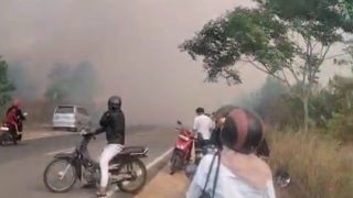 Pengendara Terganggu Akibat Lahan Terbakar di Jalan Lintas Barat, Begini Imbauan Deby Maryanti
