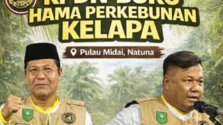 Pekan Ini, KPDN Membuka Sayembara Berburu Hama Kelapa di Pulau Midai Natuna
