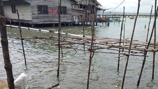 Pesisir Teluk Sasah Bintan Tercemar Tumpahan Minyak