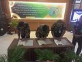 Gandeng Kejaksaan dan BPN, Pemda Natuna Luncurkan Tim Pendekar KMP untuk Legalitas Aset