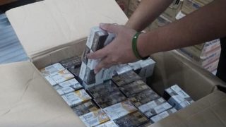 Bea Cukai Gencar Memberantas Rokok Ilegal di Tangerang hingga Karimun Melalui Operasi Pasar