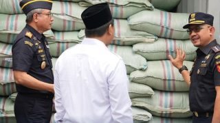 Bea Cukai Menuntaskan Penyidikan Ekspor Ilegal Lima Kontainer Kratom ke India
