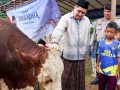 Salat Id di Toapaya, Bupati Bintan Menyerahkan Hewan Kurban Presiden kepada Warga Kampung Simpangan