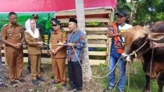 Cen Sui Lan Menyerahkan Sapi Limosin Bantuan Presiden RI kepada Warga Pulau Laut