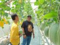 Lis Darmansyah Cakap Pertanian Hidroponik Peluang Usaha Sekaligus Mendukung Ketahanan Pangan