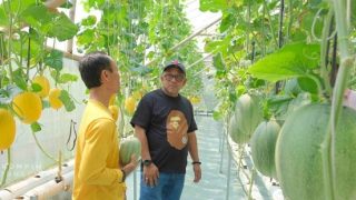 Lis Darmansyah Cakap Pertanian Hidroponik Peluang Usaha Sekaligus Mendukung Ketahanan Pangan