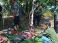 Tak Cuma Berkurban Sapi, H Raja Mustakim Mensponsori Lomba Takbir dan Pawai Obor