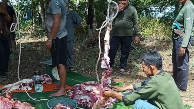 Tak Cuma Berkurban Sapi, H Raja Mustakim Mensponsori Lomba Takbir dan Pawai Obor