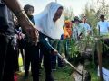 Hari Lingkungan Hidup Sedunia 2026, Pemkab Natuna Menanam Pohon di Pantai Piwang