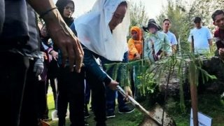 Hari Lingkungan Hidup Sedunia 2026, Pemkab Natuna Menanam Pohon di Pantai Piwang
